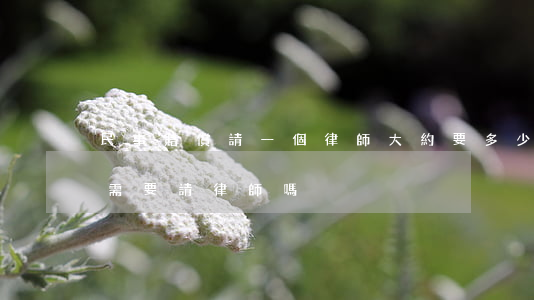 民事賠償請一個律師大約要多少錢(民事賠償需要請律師嗎?)