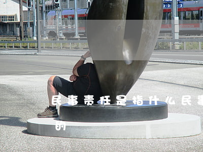 民事责任是指什么(民事责任主要是什么性质的)