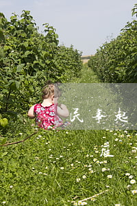 民事起訴一般多久開庭(民事糾紛起訴后多久開庭)