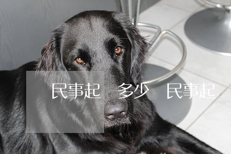 民事起訴多少錢(民事起訴多少錢就賠多少嗎)