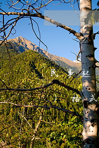 民事起訴書(shū)(民事起訴書(shū)格式范文 標(biāo)準(zhǔn)版)