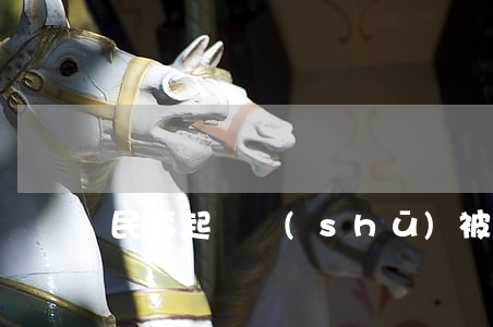 民事起訴書(shū)被告的訴訟代理人