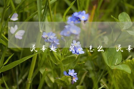民事起訴欠錢怎么辦(民事起訴欠錢怎么辦理)