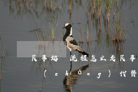 民事起訴流程怎么走(民事起訴流程怎么走家長(zhǎng)代替)