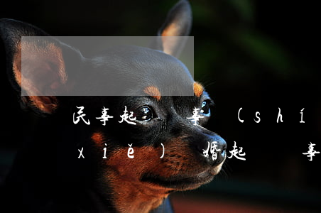民事起訴狀事實(shí)與理由怎么寫(xiě)(離婚起訴狀事實(shí)和理由怎么寫(xiě))