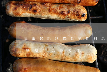 民事起訴狀借款逾期利息怎么寫(起訴狀欠款逾期利息寫多少)
