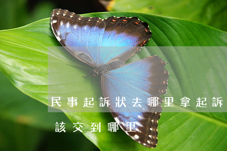 民事起訴狀去哪里拿(起訴狀應(yīng)該交到哪里)