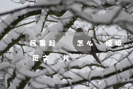 民事起訴狀怎么寫模板圖片(民事起訴書格式范文圖片)