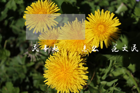 民事起訴狀怎么寫范文(民事糾紛起訴狀怎么寫)