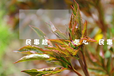 民事起訴狀書怎么寫(民事起訴狀如何寫)