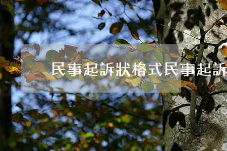 民事起訴狀格式(民事起訴狀格式字體字號)
