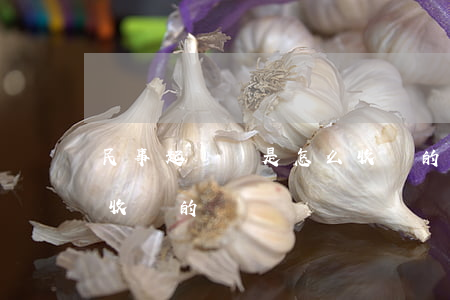 民事起訴費是怎么收費的(民事起訴費是怎么收費的)