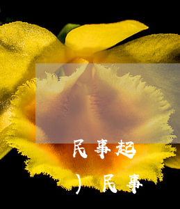 民事起訴賠償書(shū)怎么寫(xiě)(民事賠償起訴書(shū)賠償明細(xì)怎么寫(xiě))