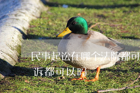 民事起讼在哪个法院都可以吗(在哪个法院起诉都可以吗)