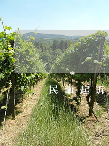 民事起诉状模板范文(民事起诉状怎么写模板)