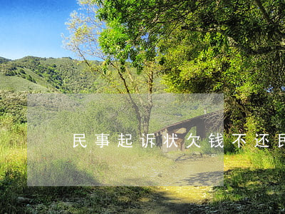 民事起诉状欠钱不还（民事起诉状欠钱不还）