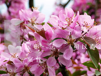 民事違法記錄可以查到嗎(怎么查自己的民事案件)