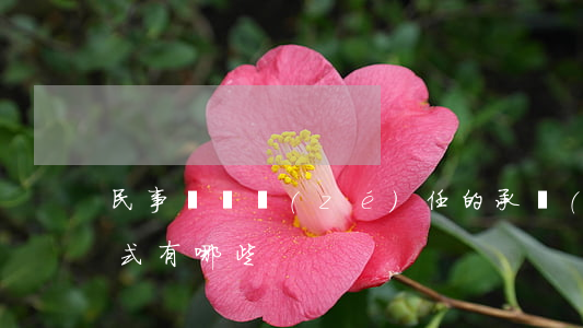 民事違約責(zé)任的承擔(dān)方式有哪些
