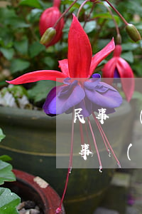 民事開(kāi)庭的詳細(xì)流程(民事開(kāi)庭的詳細(xì)流程 規(guī)定)