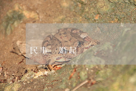 民事離婚起訴狀
