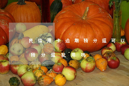 民信用卡逾期積分還可以(信用卡逾期停用了積分還能用嗎)