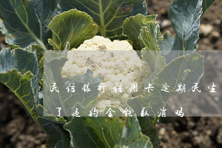 民信银行信用卡逾期(民生银行的信用卡逾期了违约金能取消吗)