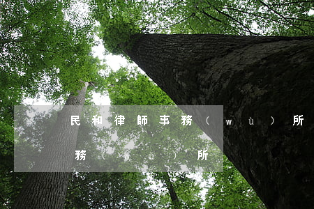 民和律師事務(wù)所怎么樣(律師民事事務(wù)所)