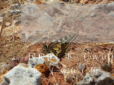 民和律師事務(wù)所怎么樣(民和縣律師事務(wù)所)
