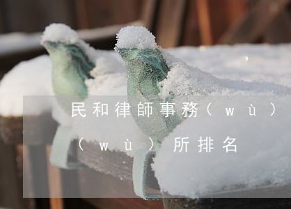 民和律師事務(wù)所排名(有名律師事務(wù)所排名)