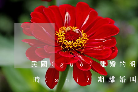 民國(guó)離婚的明星(民國(guó)時(shí)期離婚叫什么)