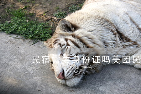民宿需要身份证吗(美团民宿需要身份证吗)
