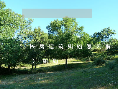 民房建筑糾紛怎么解決(建筑房產(chǎn)糾紛)
