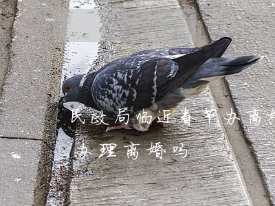 民政局临近春节办离婚吗(春节期间民政局能办理离婚吗)