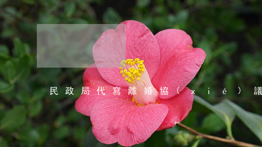 民政局代寫離婚協(xié)議嗎