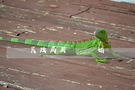 民政局周幾辦離婚