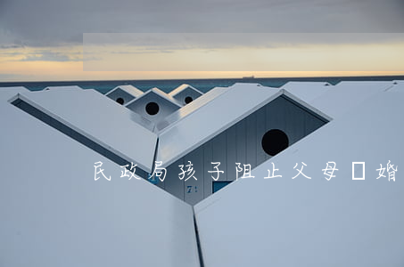 民政局孩子阻止父母離婚標語