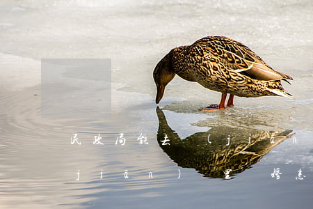 民政局能去監(jiān)獄辦離婚嗎(監(jiān)獄里離婚怎么領(lǐng)離婚證)