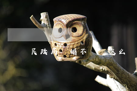 民政局離婚不給辦怎么辦
