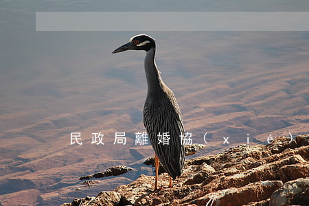 民政局離婚協(xié)議有效嗎