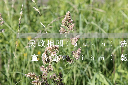 民政相關(guān)法律法規(guī)宣傳簡(jiǎn)報(bào)(宣講法律法規(guī)簡(jiǎn)報(bào))