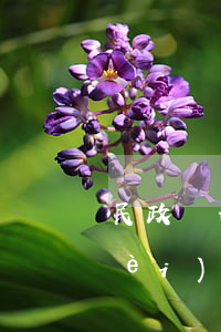 民政離婚對方不給撫養(yǎng)費(fèi)怎么辦