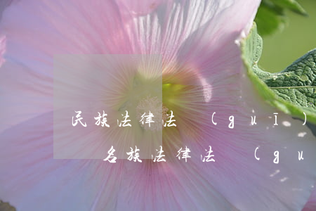 民族法律法規(guī)選篇(求國家對少數名族法律法規(guī)的規(guī)定越詳細越好)