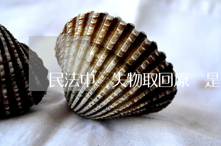 民法中遺失物取回原則是什么