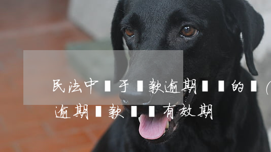 民法中關于貸款逾期訴訟的規(guī)定 逾期貸款訴訟有效期