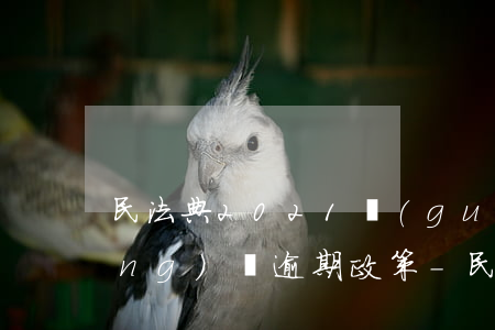 民法典2021關(guān)于網(wǎng)貸逾期政策-民法典2021關(guān)于網(wǎng)貸逾期政策解讀