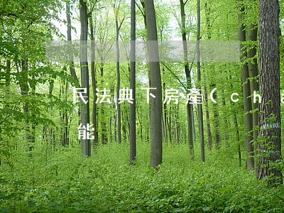 民法典下房產(chǎn)交易想跳單，不可能