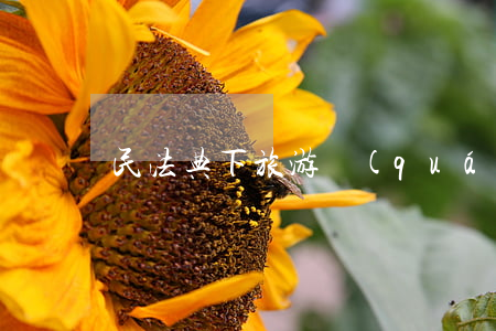 民法典下旅游權(quán)益保障