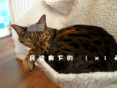 民法典下的協(xié)議離婚