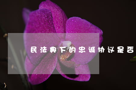民法典下的忠诚协议是否有效