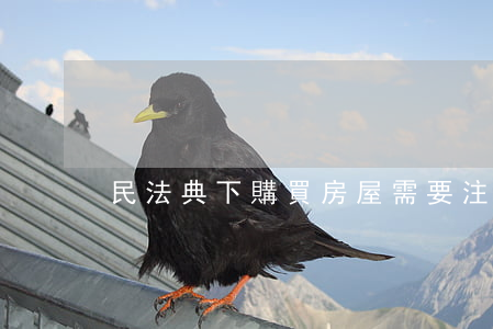 民法典下購買房屋需要注意的幾點